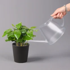 Kaffeestrauch Mit Keramiktopf Dallas Anthrazit, Topf-Ø 12cm, Höhe Ca. 25 Cm -Fiskar Garten Geschaft 0220108268 Coffea arabica Dallas anthrazit 32