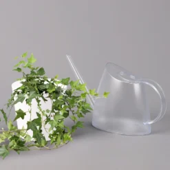 Hedera Helix In Keramiktopf Dallas Weiß, Topf-Ø 12/13 Cm -Fiskar Garten Geschaft 0220650241 Hedera gruen in Topf Dallas weiss 3