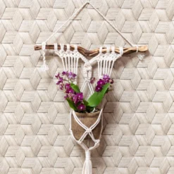 Phalaenopsis, Lilatöne, 3 Rispen, Topf-Ø 9cm, Mit Keramikübertopf, Höhe Ca. 30cm -Fiskar Garten Geschaft 0290100053