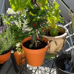 Gardena Urlaubsbewässerung City-Gardening, Bis Zu 36 Töpfe, Transformator, Zeitschaltuhr -Fiskar Garten Geschaft 0930100238 city Gardening Urlaubsbewaesserung fuer bis zu 36 Topfpflanzen 3 61508