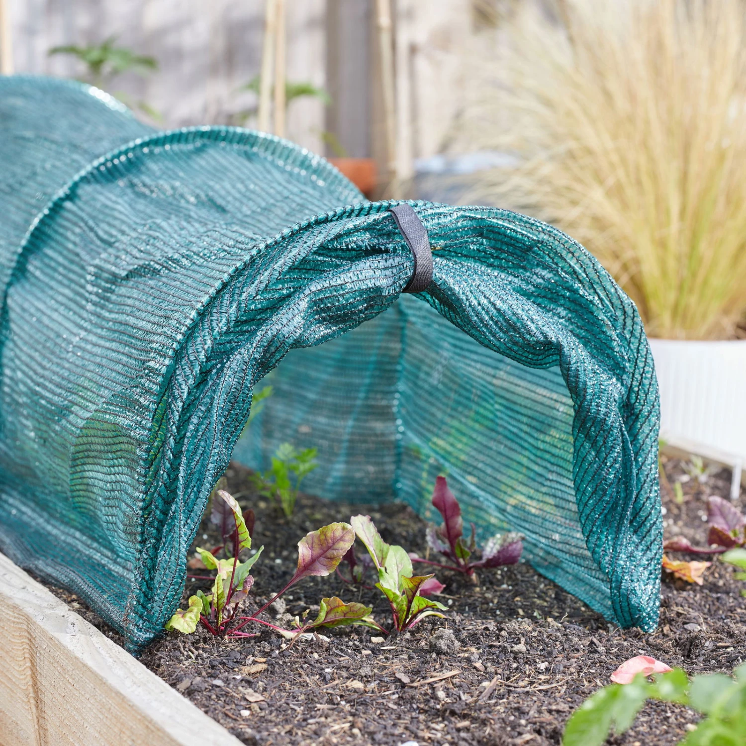 Anzuchttunnel 'GroZone Tunnel', Länge Ca. 300 Cm 1 Anzuchttunnel 'GroZone Tunnel', Länge Ca. 300 Cm