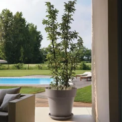 Euro 3 Plast Pflanzkübel Mitu Pac Mit Loch, Taupe