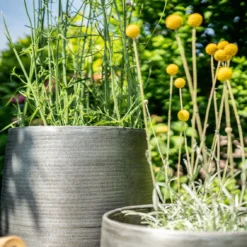 Pflanzgefäß 'Rowen', Silber, Ø 41 X H 72 Cm -Fiskar Garten Geschaft 3210801635 3210801636 3210801637 3210801638 Pflanzgefaess Rowen silber 12 115029