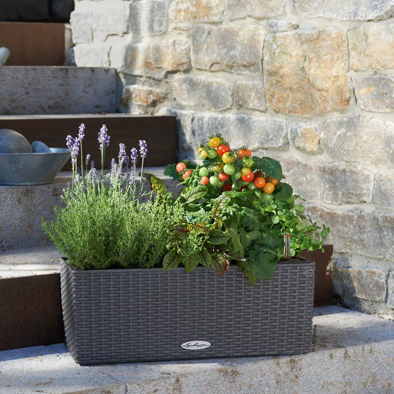 LECHUZA Balconera Cottage, Granit, 50 X 19 X 19 Cm 1 LECHUZA Balconera Cottage, Granit, 50 X 19 X 19 Cm