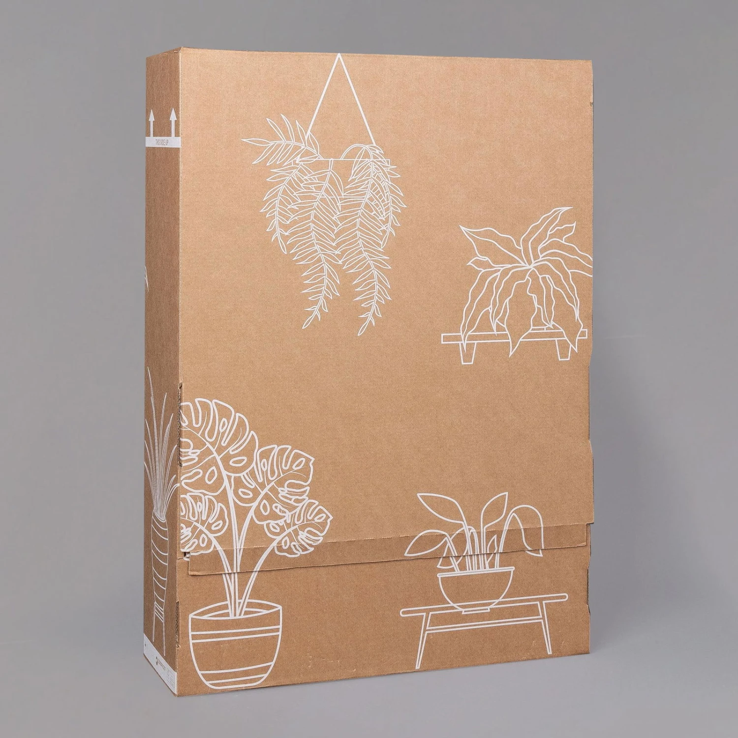 Usambaraveilchen In Keramiktopf Dallas Weiß, Rot, Topf-Ø 12 Cm, 3er-Set 6 Usambaraveilchen In Keramiktopf Dallas Weiß, Rot, Topf-Ø 12 Cm, 3er-Set – Bild 6