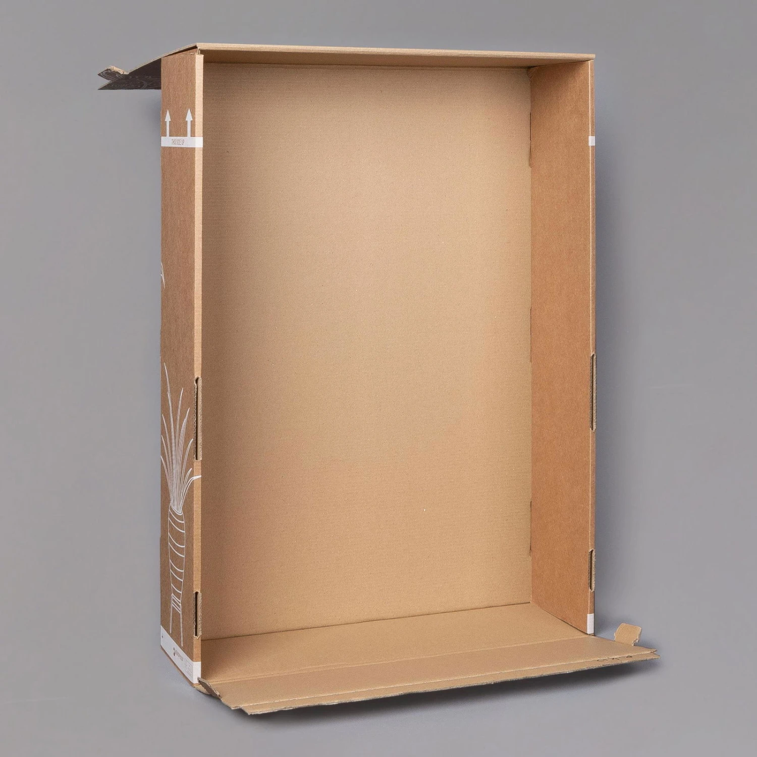 Usambaraveilchen In Keramiktopf Dallas Weiß, Rot, Topf-Ø 12 Cm, 3er-Set 4 Usambaraveilchen In Keramiktopf Dallas Weiß, Rot, Topf-Ø 12 Cm, 3er-Set – Bild 4