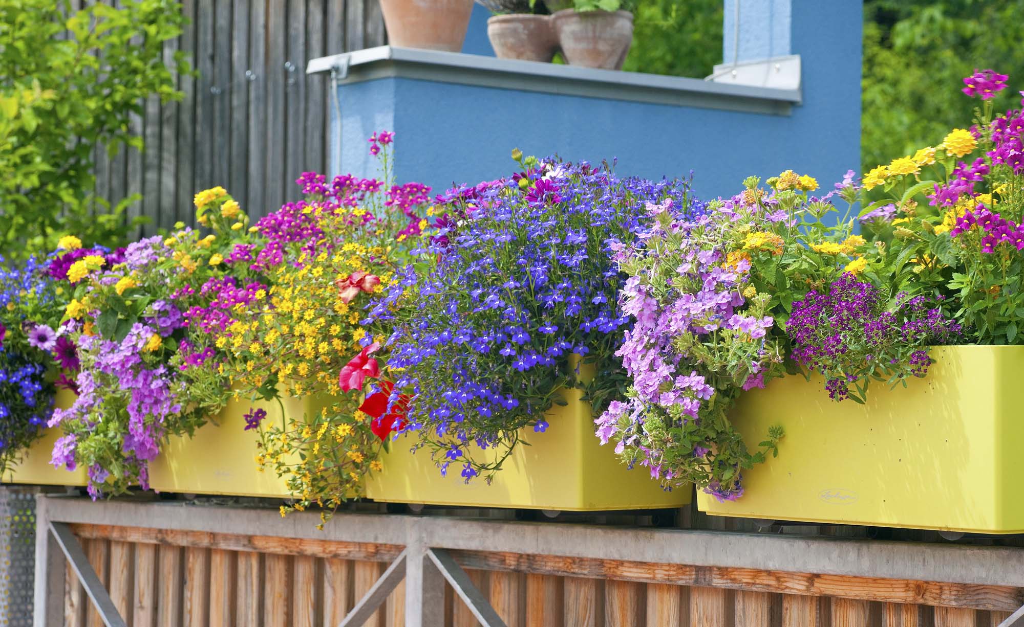 Fiskar Garten Geschaft 10 Fiskar Garten Geschaft -Fiskar Garten Geschaft blumenkasten balkonkasten 01445523 florapress