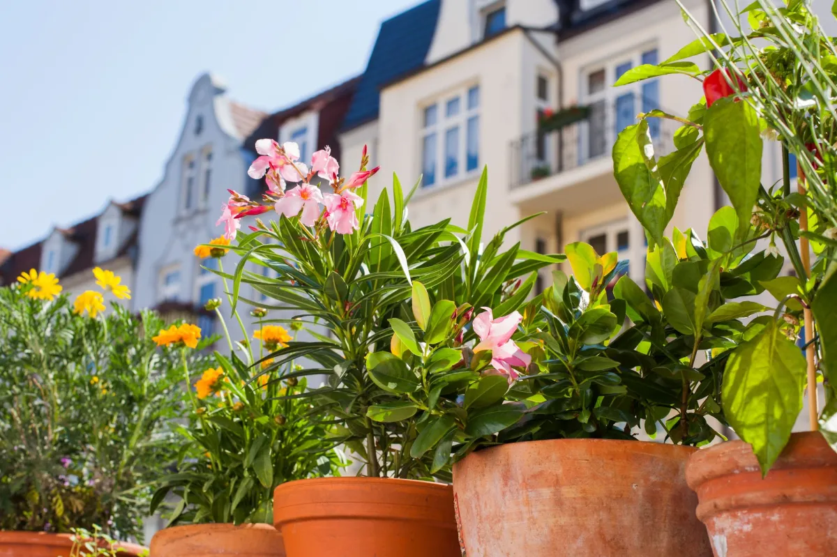 Fiskar Garten Geschaft 11 Fiskar Garten Geschaft -Fiskar Garten Geschaft suedbalkon pflanzen